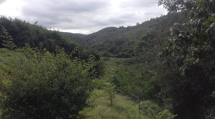 River Valley Eco Corridor