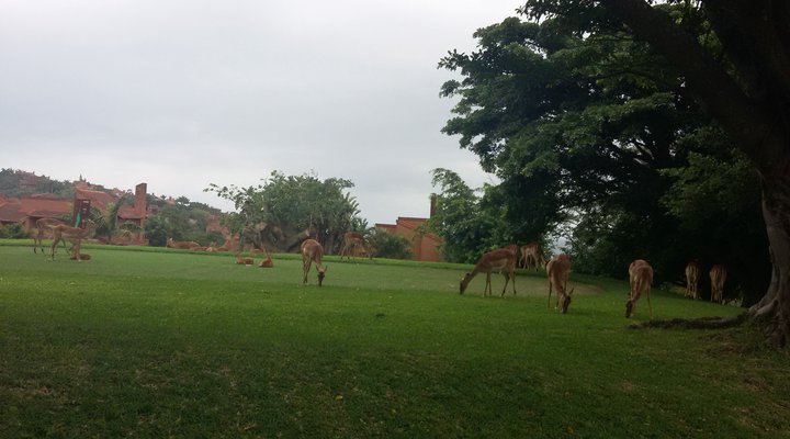 San Lameer