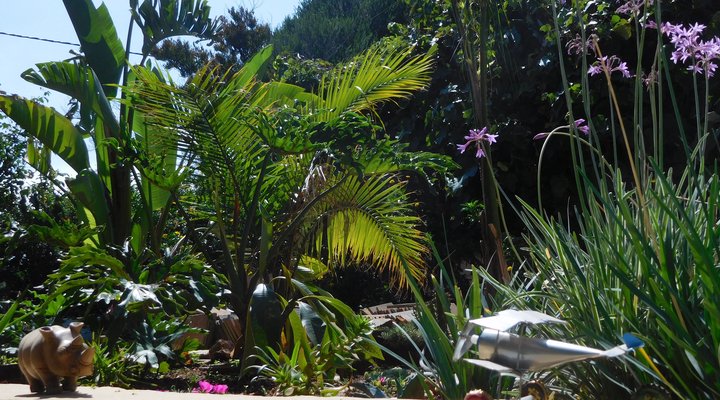 Navigatorz Backpackers Jhb