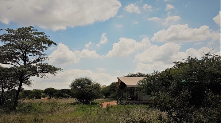 Ngata Safari Lodge 