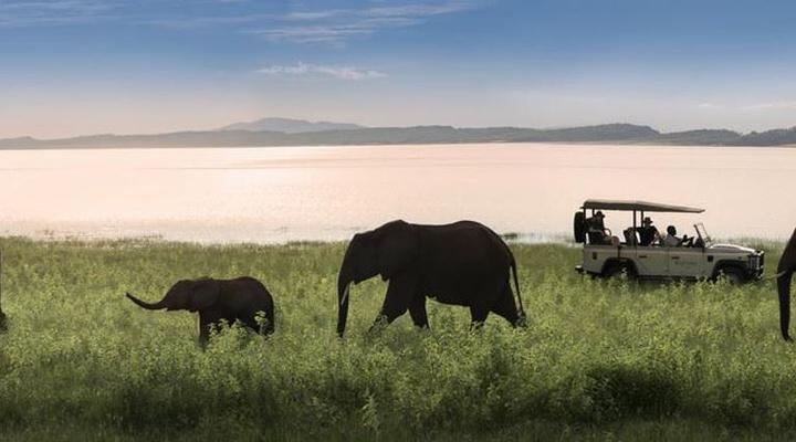 Bumi Hills Safari Lodge