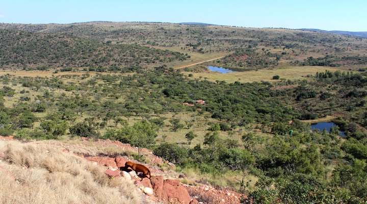 Hope Springs Eternal