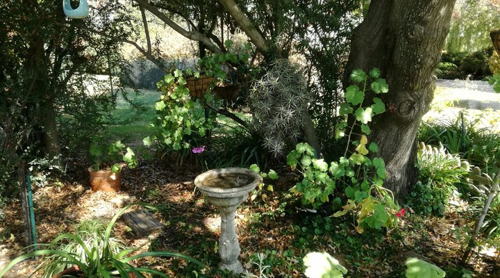 Longridge Country House