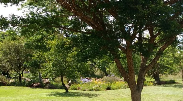 Muse - Artist's Retreat