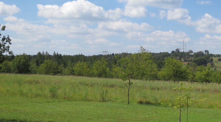 Muse - Artist's Retreat