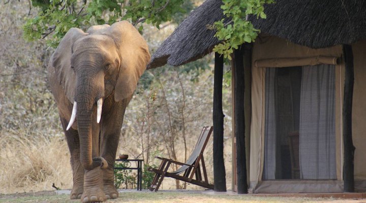 Mchenja Luxury Bush Camp
