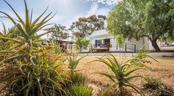Riebeeck Huis