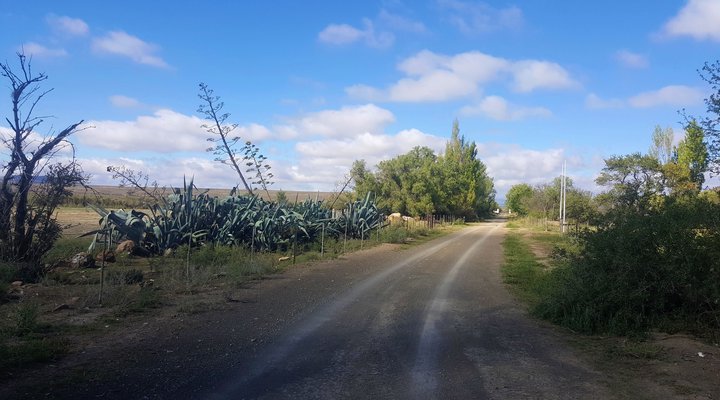Groenvlei Farm Guest House