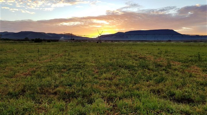 Groenvlei Farm Guest House