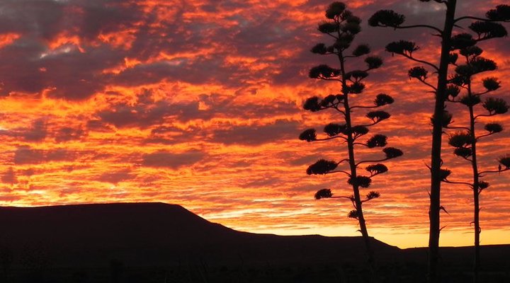 Groenvlei Farm Guest House