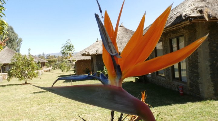 Mayleko Lodge