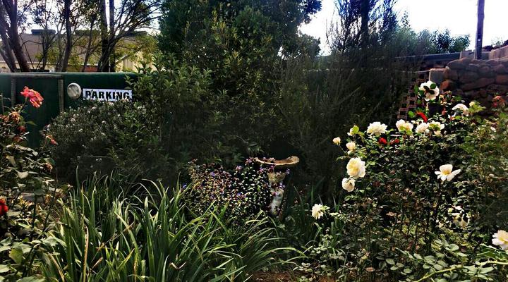 Rocky Ridge Lodge and Conference Centre