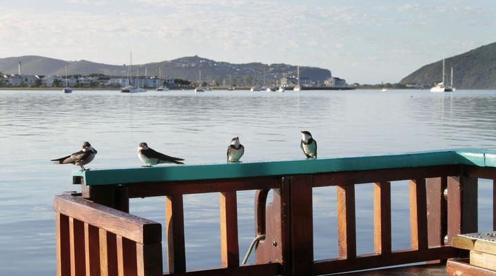 Knysna Houseboat Myrtle
