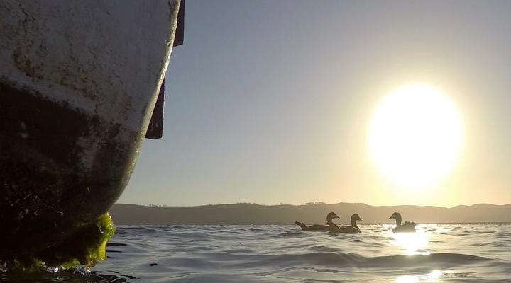 Knysna Houseboat Myrtle