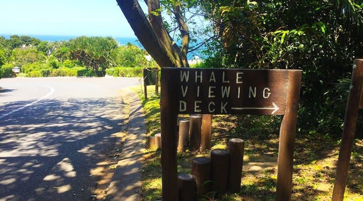 20 Akrotiri Santorini