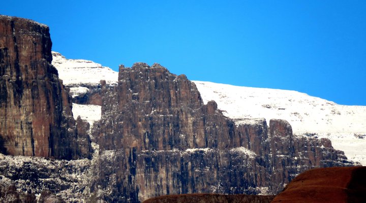 Wellstead House Gratitude Farm