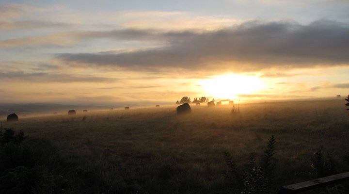 Wellstead House Gratitude Farm
