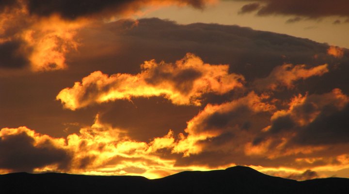 Wellstead House Gratitude Farm