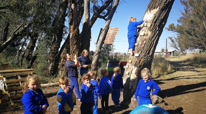 Pamperlang At Melkkan