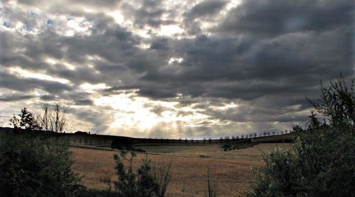 Wellstead House Gratitude Farm