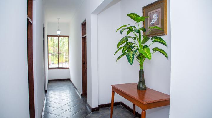 The Daisy Comfort Home