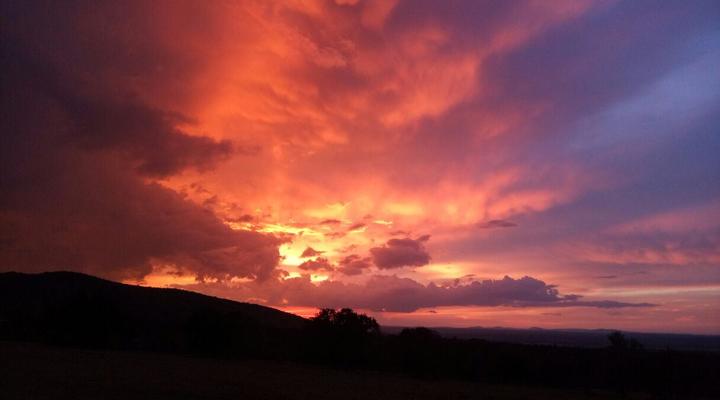 The Nubian In The Mara