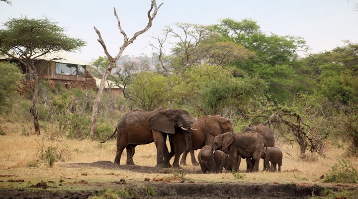 Singita Faru Faru Lodge