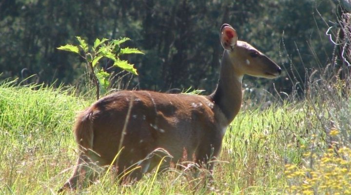 Down to Earth Guesthouse