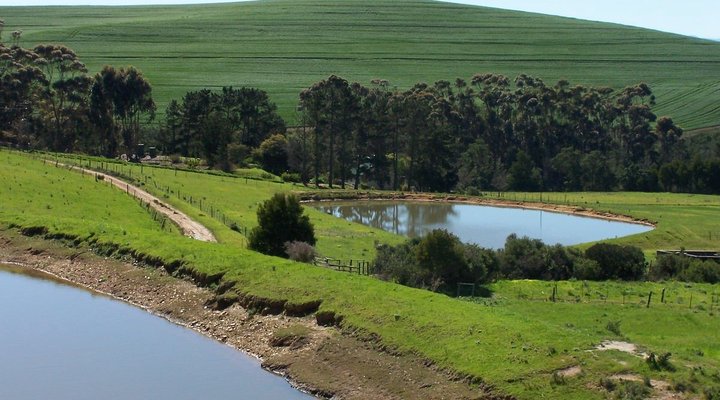 Taim-Go-Loer Private Guest Farm