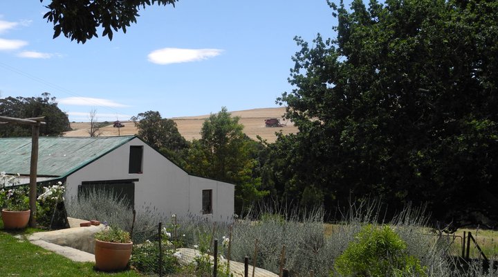 Taim-Go-Loer Private Guest Farm