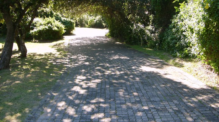 The Dunes Resort Unit 125