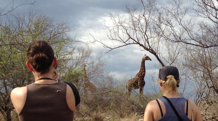 Tsakane Walking Safaris