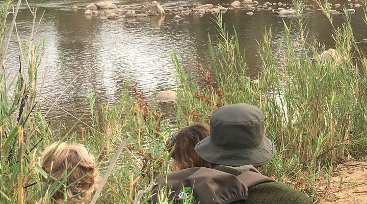 Tsakane Walking Safaris