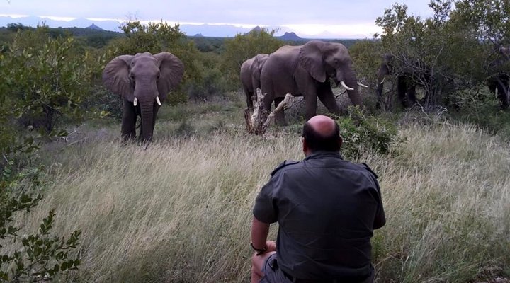 Tsakane Walking Safaris