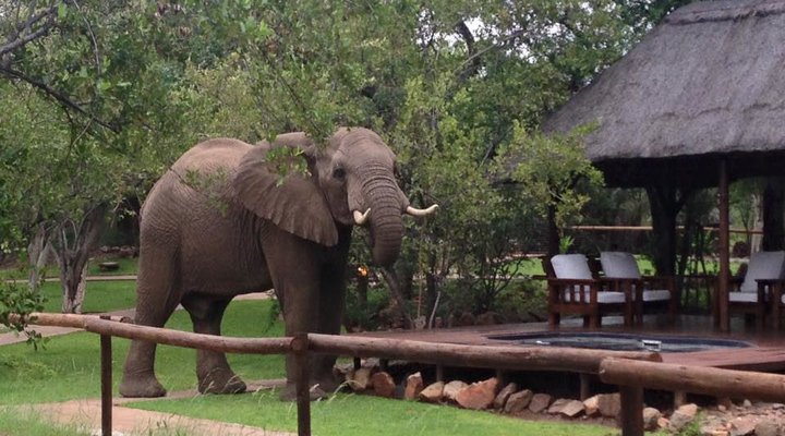 Tsakane Safari Camp