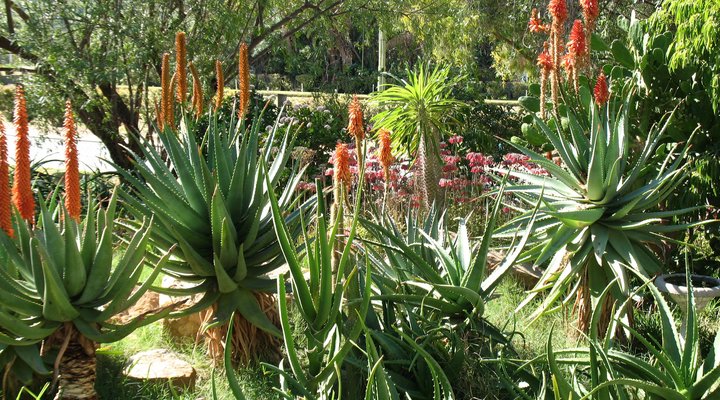 Elephant River Guest House, Clanwilliam, West Coast, Western Cape