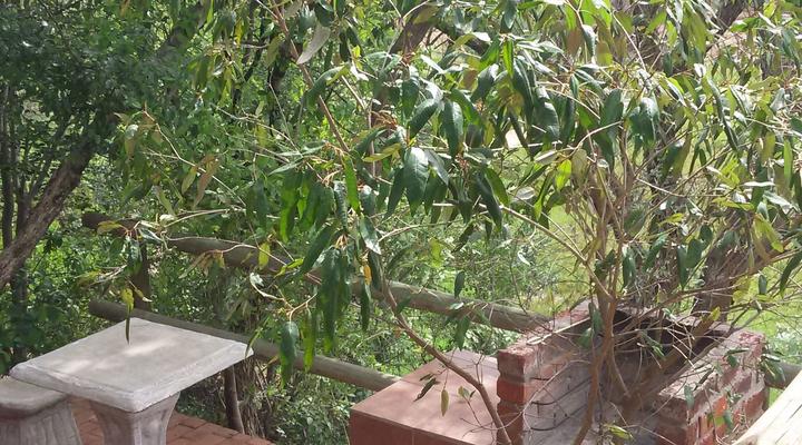 Thaba Lenaka Guestfarm