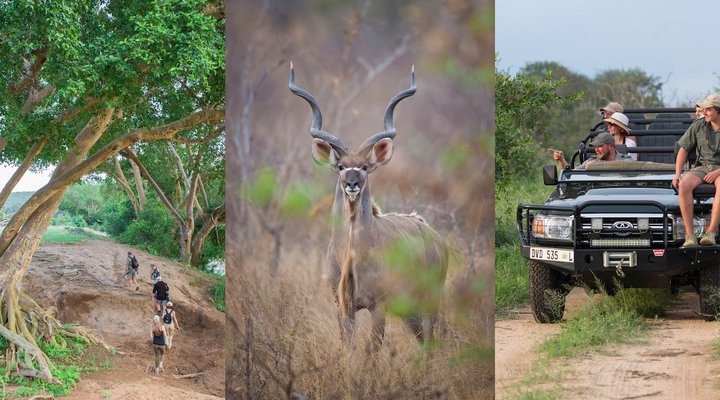 Toro Yaka Bush Lodge
