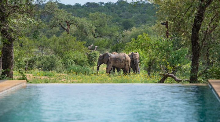 Toro Yaka Bush Lodge