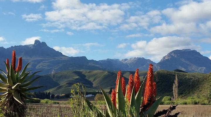 Koedoeskloof Guesthouse