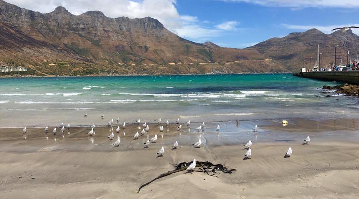 Cosy Corner Hout Bay