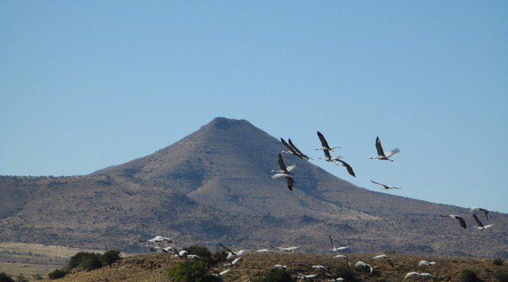 Lowlands Country House