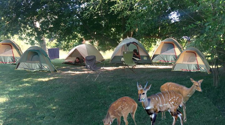 Backpacker Accommodation in South Luangwa Nat Park