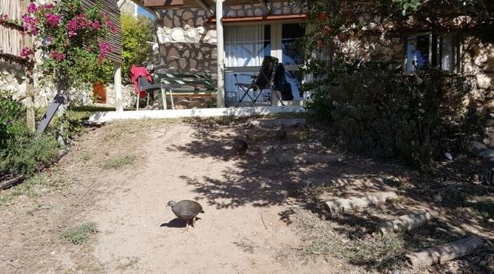 Strandlopertjies Cottage