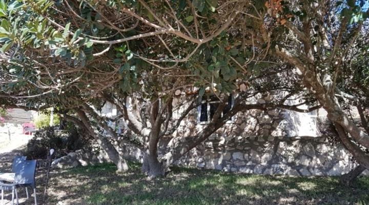 Strandlopertjies Cottage