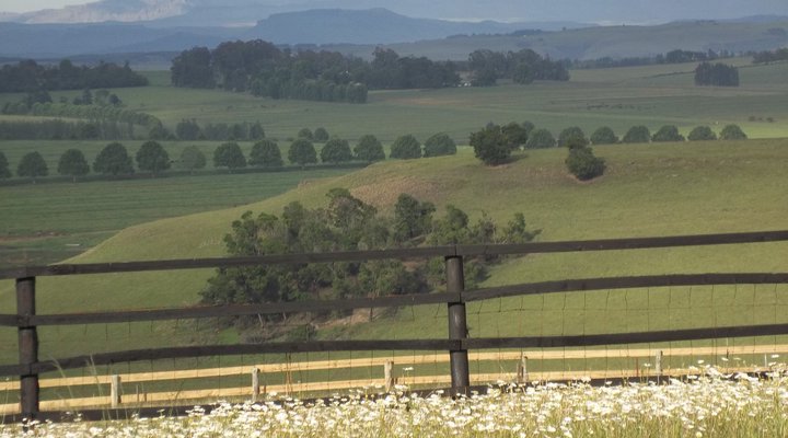 Providence Self Catering Venue