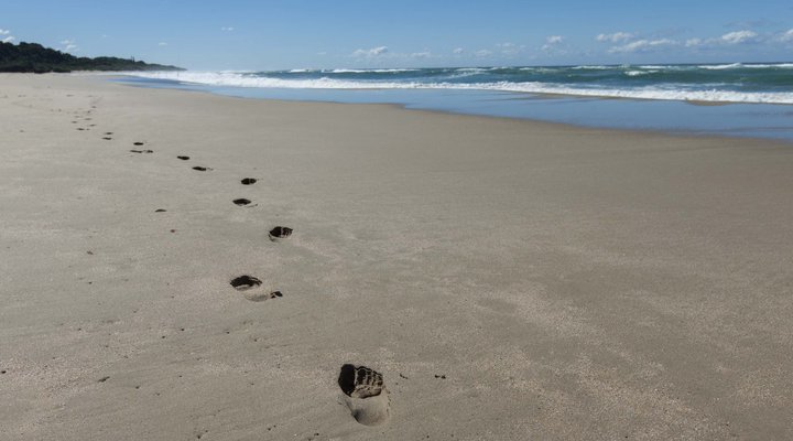 Ocean View Beach House