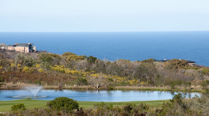 Pezula 2nd Hole Glamour - SL8