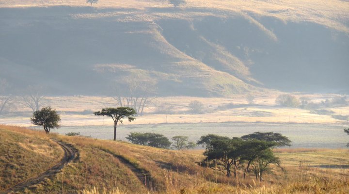 Wellstead House Gratitude Farm