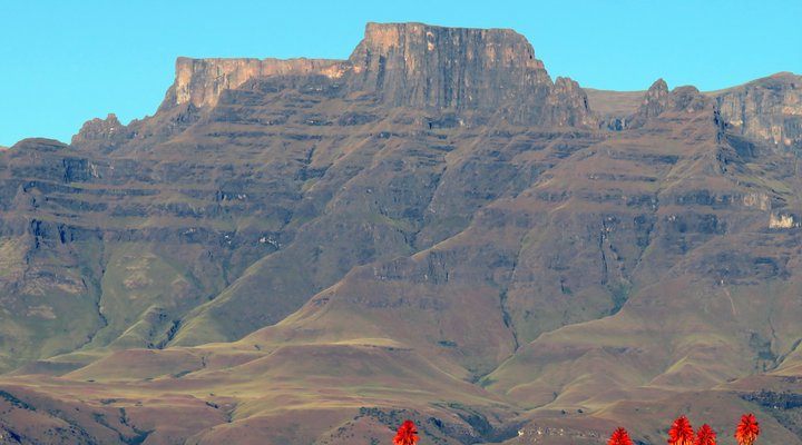 Wellstead House Gratitude Farm